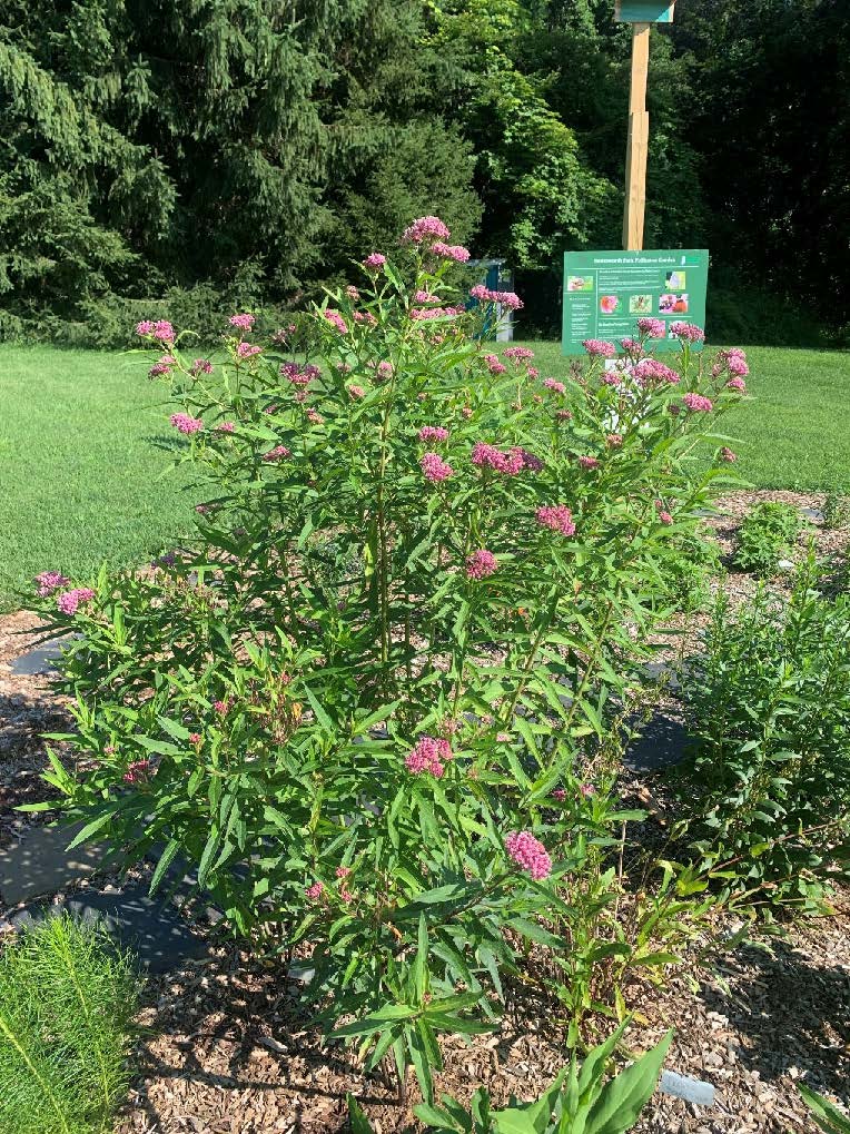 2023 EC Annual Report v1