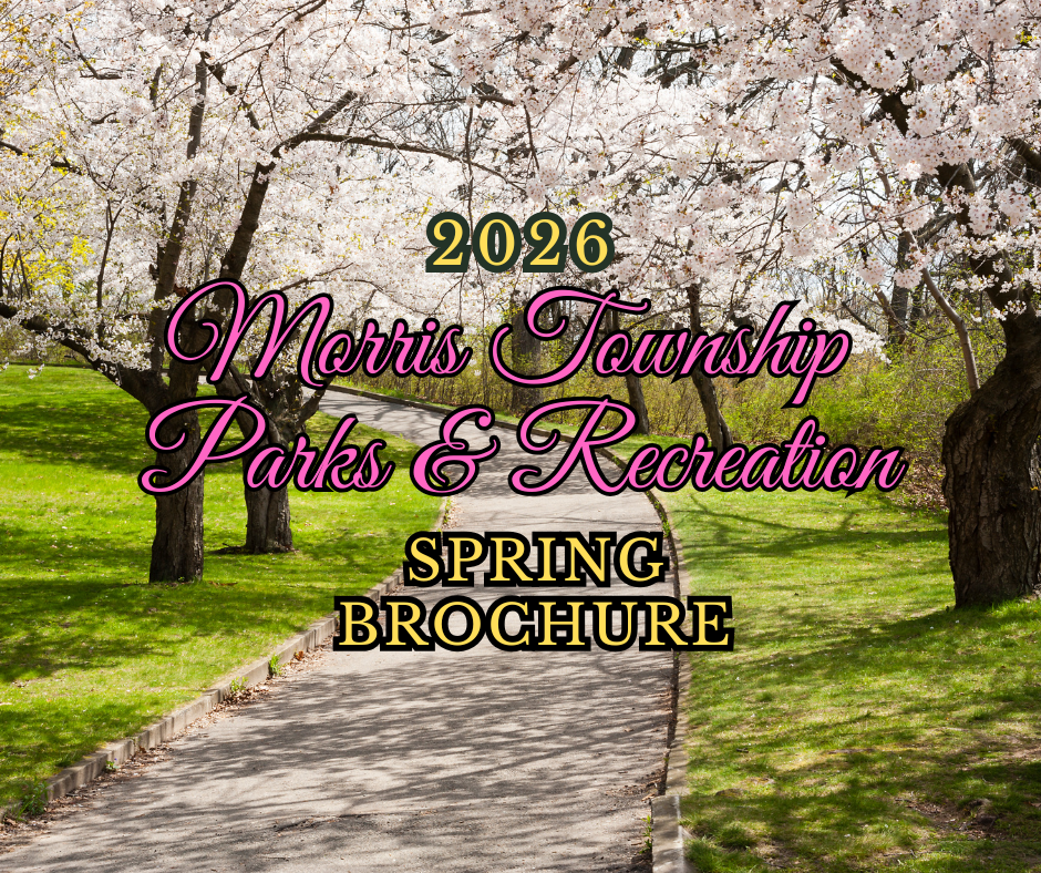 2026 spring brochure 