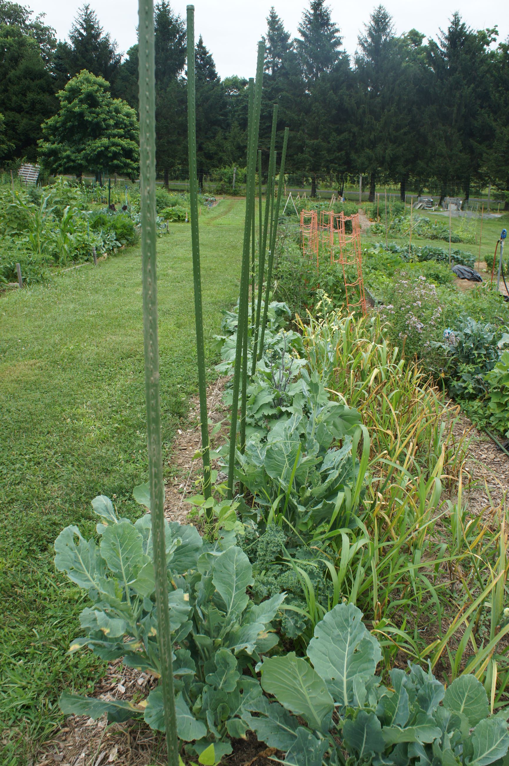 MT Community Garden 
